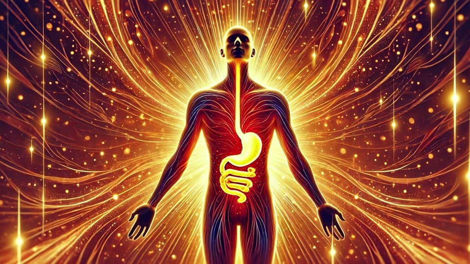 Agni Ignition — Ayurvedic Morphic Field for Digestive Power, Vitality, and Balance